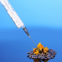 חיסונים - חומר למחשבה